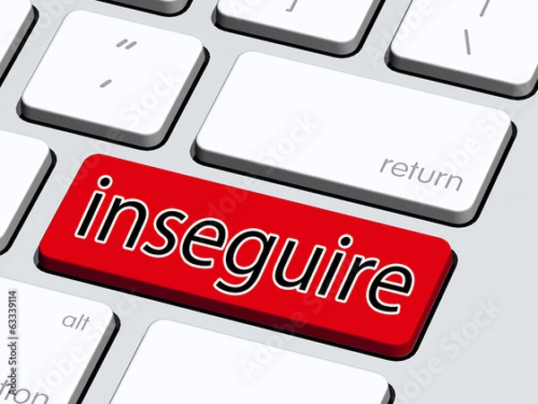 Obraz inseguire