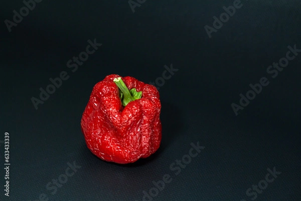 Fototapeta Red wrinkled old sweet bell pepper on a dark background