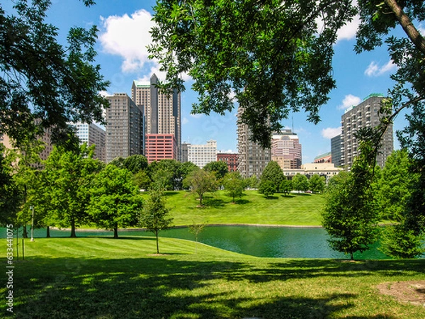 Obraz Park with City Skyline in St. Louis