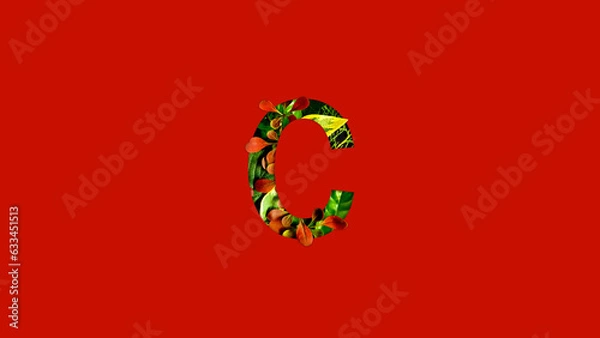 Fototapeta Letter C made of colorful tropical leaves. Leaf font concept. Unique collection of letters and numbers. Spring, summer and valentines creative idea. Tropical vibes.
