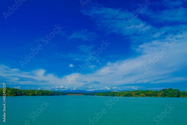 Fototapeta 多摩湖（東大和市）