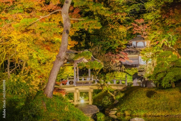 Fototapeta 日本庭園の秋の夜