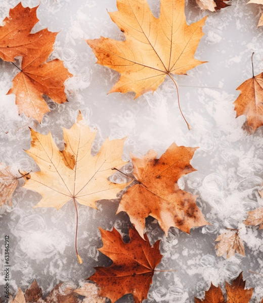 Obraz Minimal concept of the change of seasons, autumn and winter. Fallen autumn leaves covered with the first white soft snow. Background.