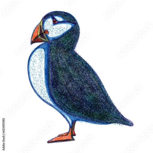 Obraz Atlantic puffin risograph retro illustration