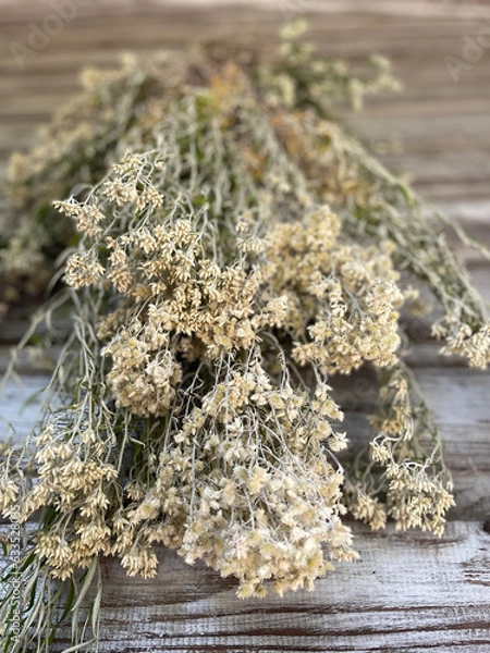 Obraz life everlasting