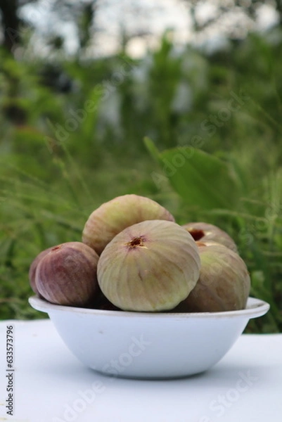 Fototapeta figs photos with white and green backgrounds and from different angles 