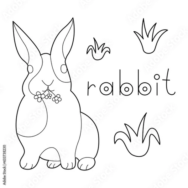 Obraz A Rabbit, colouring book for kids, vector illustration, Animals