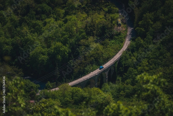 Fototapeta Route dans la forêt

