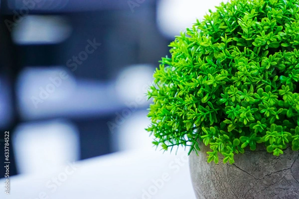 Fototapeta Tabletop for your product with a green flower and beautiful plants as an interior decoration.
