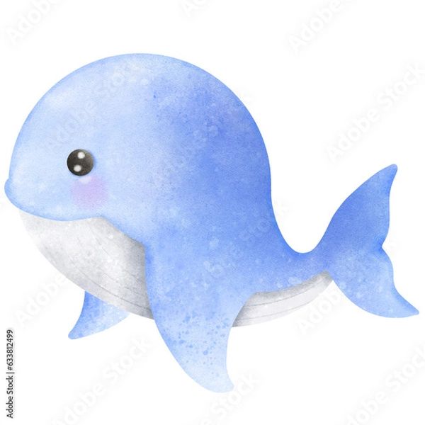 Fototapeta blue whale