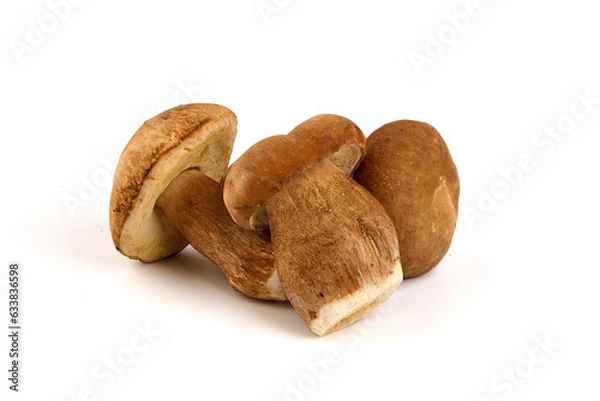 Fototapeta Forest mushrooms - Boletus edulis, isolated on white background.