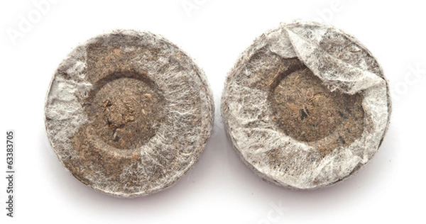 Fototapeta Peat tablets for seedlings