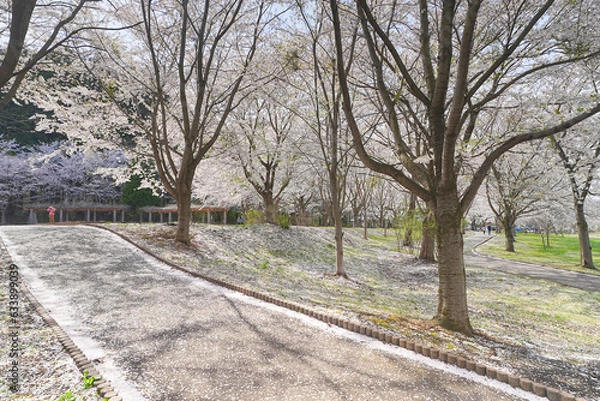 Fototapeta 鶴の舞橋