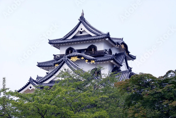 Fototapeta 彦根城