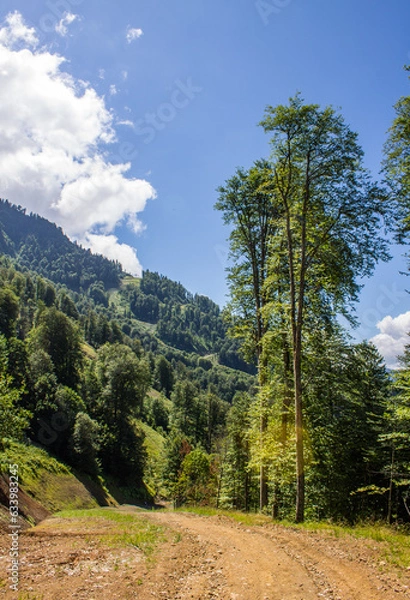 Fototapeta Panoramic mountain landscape with hills and green trees with a road on a sunny summer day against a blue sky with a white cloud