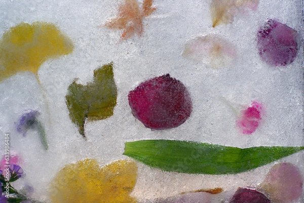 Obraz frozen flowers