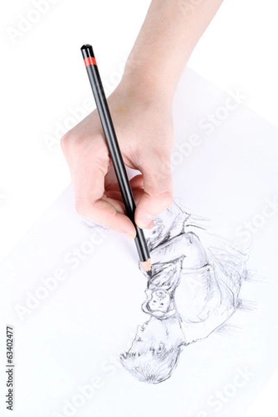 Obraz Drawing picture of drawing charcoal isolated on white