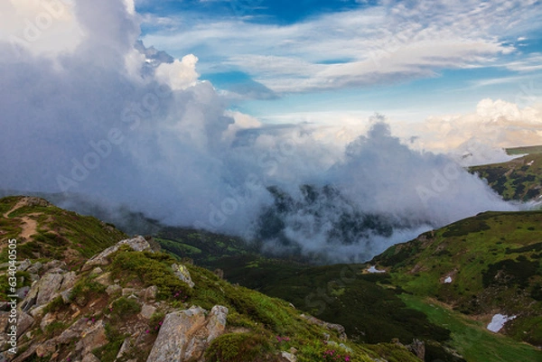 Fototapeta Fog and clouds over the slopes of the Carpathians in summer. Ukraine.