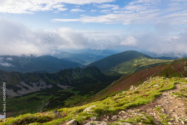 Fototapeta Fog and clouds over the slopes of the Carpathians in summer. Ukraine.