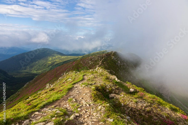 Fototapeta Fog and clouds over the slopes of the Carpathians in summer. Ukraine.