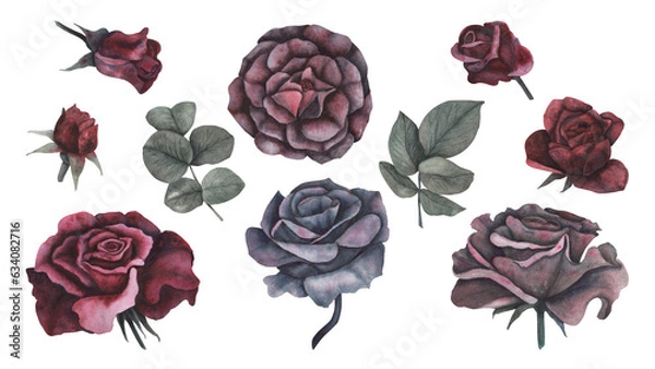 Obraz Set gothic rose with leaves magical texture isolated on white background. Watercolor hand drawn botanical sketch iIllustration. Art for design mystical halloween witch decoration, scary greeting card