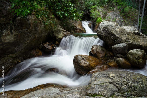 Obraz waterfall in the forest
