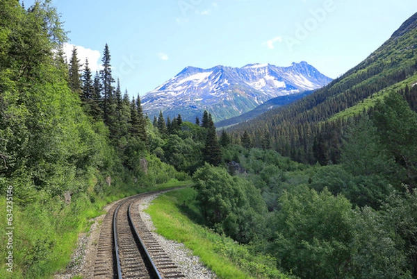 Fototapeta Beautiful mountain range and scenic views along the Alaska railway train passage to Canada.