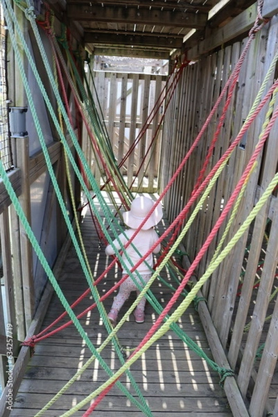 Fototapeta 遊園地、三井グリーンランド、熊本県