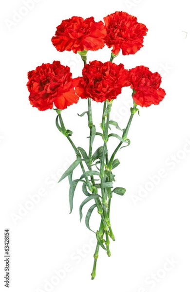 Obraz Bukiet gojedzi