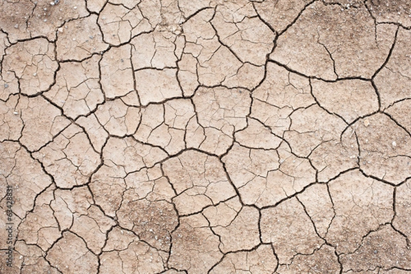 Fototapeta Drought