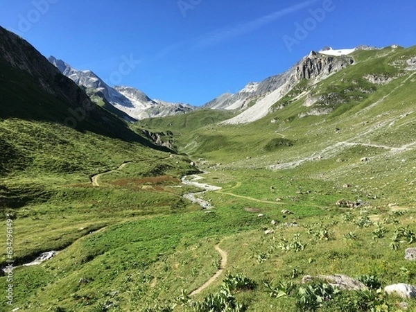 Fototapeta Vallée de Ritort en direction du refuge du Peclet Polset. Pralognan la Vanoise, Parc national de la Vanoise, Alpes du Nord, Tarentaise, Savoie, France.