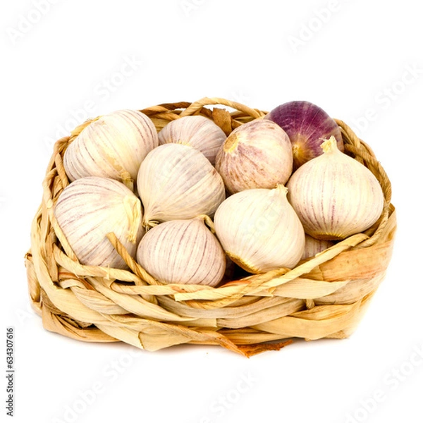 Obraz Garlic Solo on white background