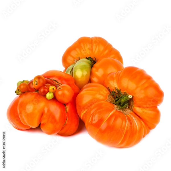 Obraz tomatoes on a white background
