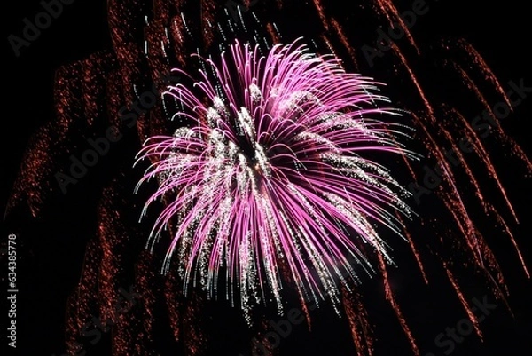 Obraz 花火アップ