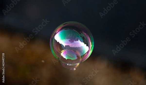 Fototapeta Joined soap bubbles. Close-up.