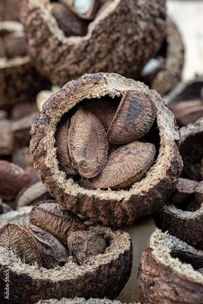 Obraz Brazil nuts on a board
