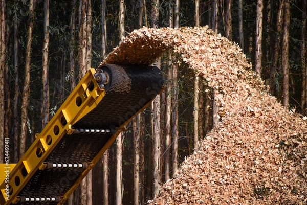 Fototapeta logging equipment forest machine