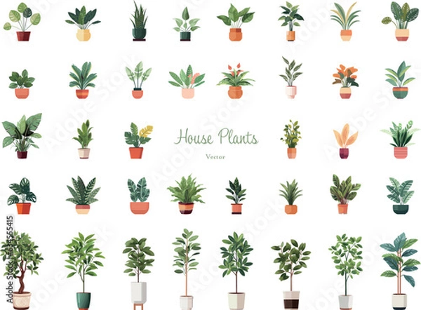 Obraz 観葉植物のイラストセット