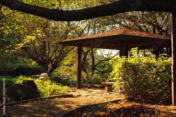 Obraz 秋の西日に照らされる東屋, Gazebo