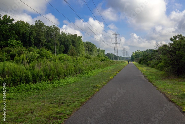 Obraz Summer Powerlines