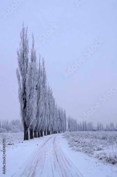 Obraz winter landscape with snow