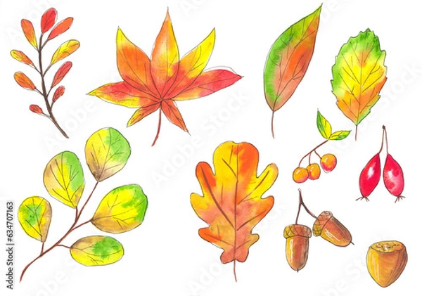 Obraz Autumn set, warm mood, orange color, watercolor illustration, autumn leaves, maple, oak, berries, autumn forest
