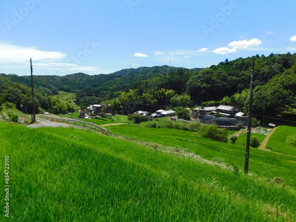 Obraz 夏の田園風景 棚田と集落(大阪府茨木市大字長谷で2023年8月撮影)