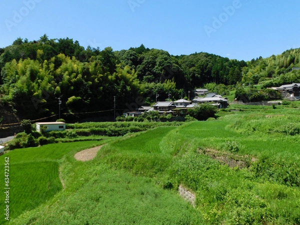 Fototapeta 夏の田園風景 棚田と集落(大阪府茨木市大字長谷で2023年8月撮影)