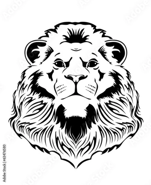 Fototapeta Lion head