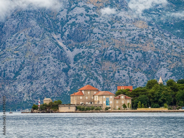 Fototapeta OLYMPUS DIGITAL CAMERA