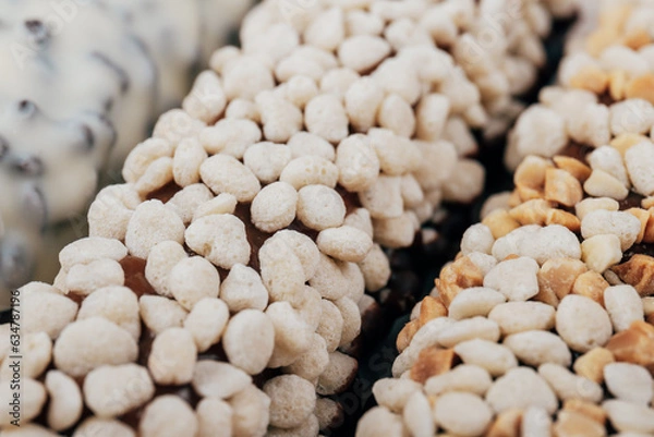 Obraz Sweet chocolate bars coated with corn cereals, peanuts pieces and  white icing. Macro shot.