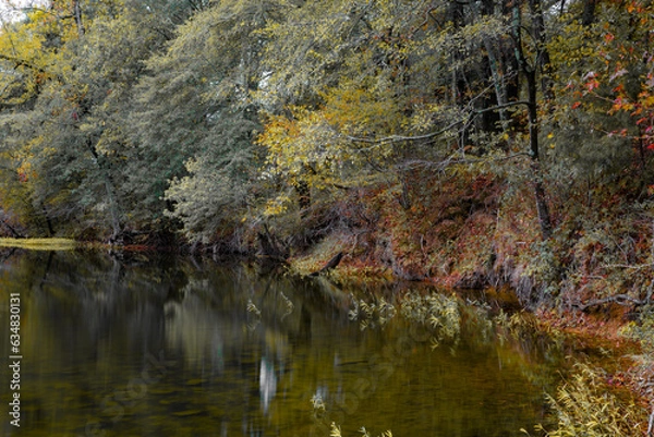 Fototapeta Mountain Stream Reflections 2
