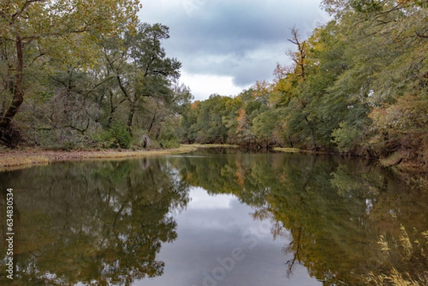Fototapeta Mountain Stream 3