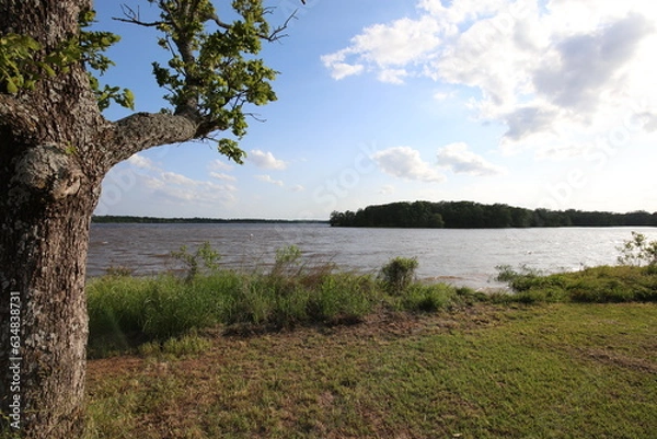 Fototapeta Lakeshore and Clouds